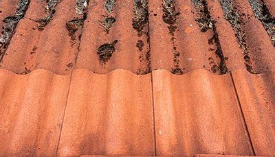 Anti-mos behandeling