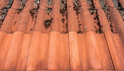 Anti-mos behandeling